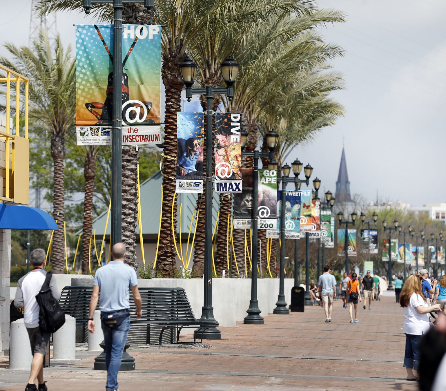 Aquarium of the Americas